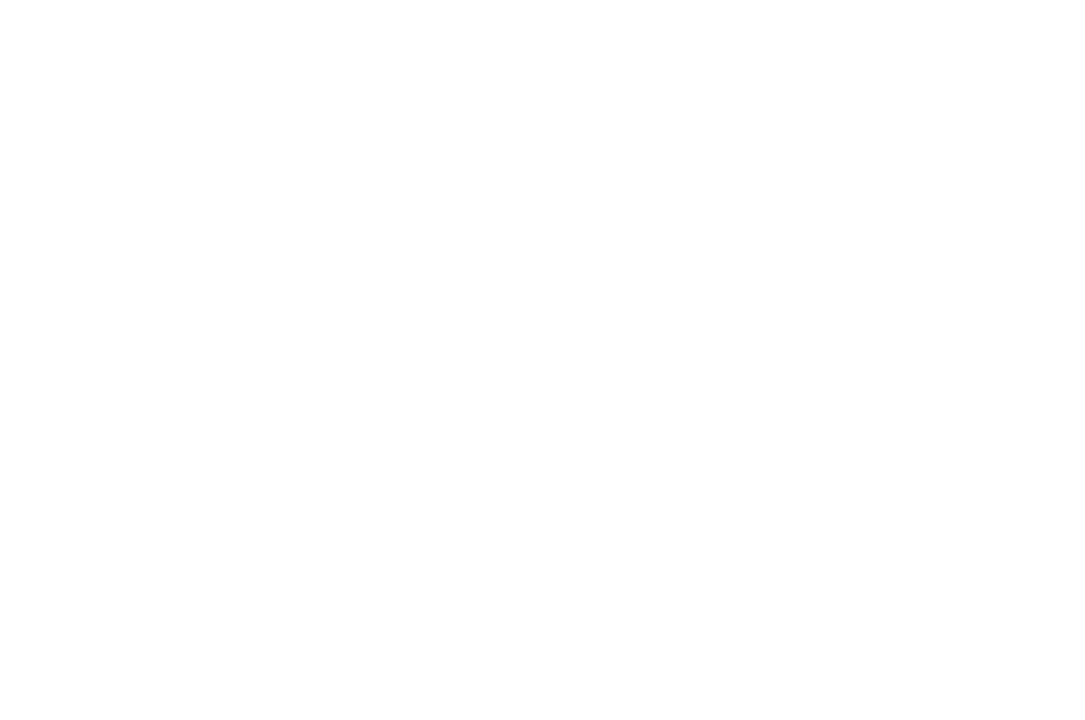 Media Film Festival — Official Selection 2021