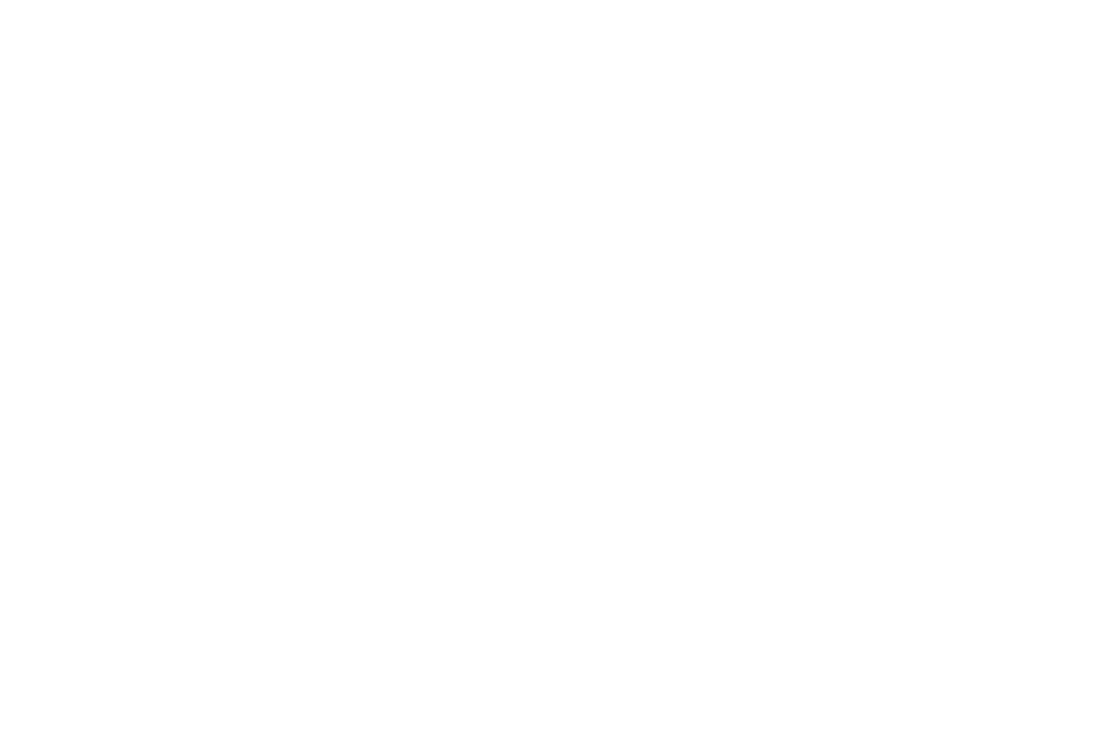 Montreal Independent Film Festival — Official Selection 2021