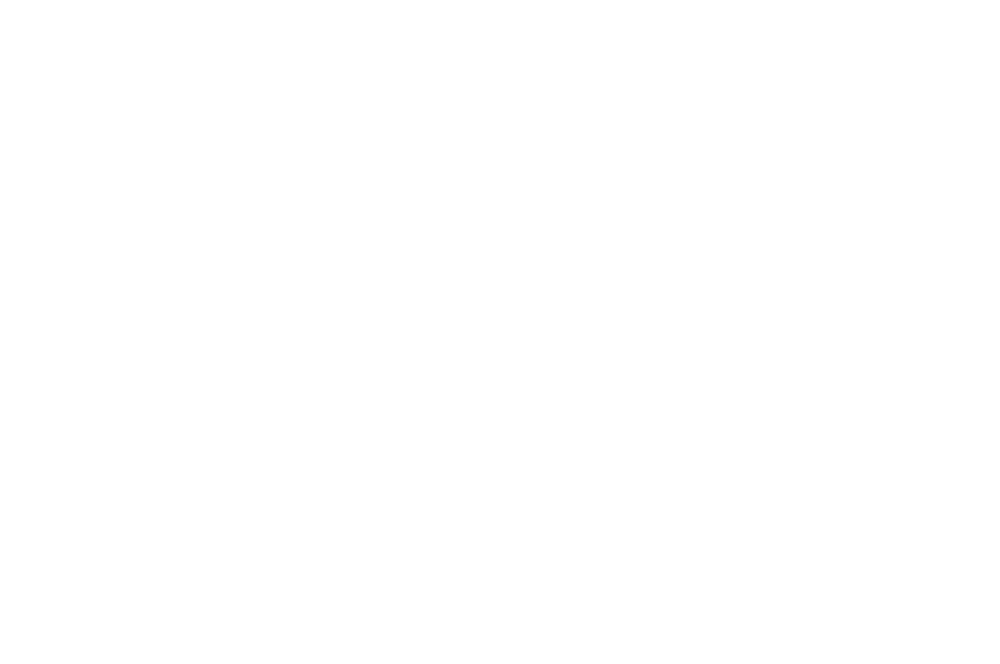 Sunshine Coast Surf Film Festival — Official Selection 2021